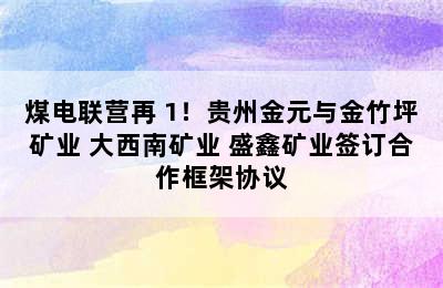 煤电联营再+1！贵州金元与金竹坪矿业 大西南矿业 盛鑫矿业签订合作框架协议